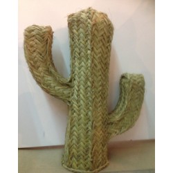 Cactus esparto